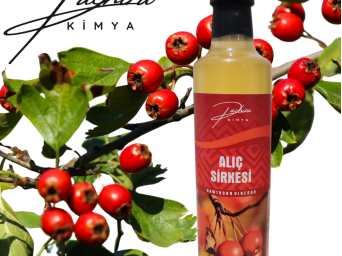 ALIÇ SİRKESİ